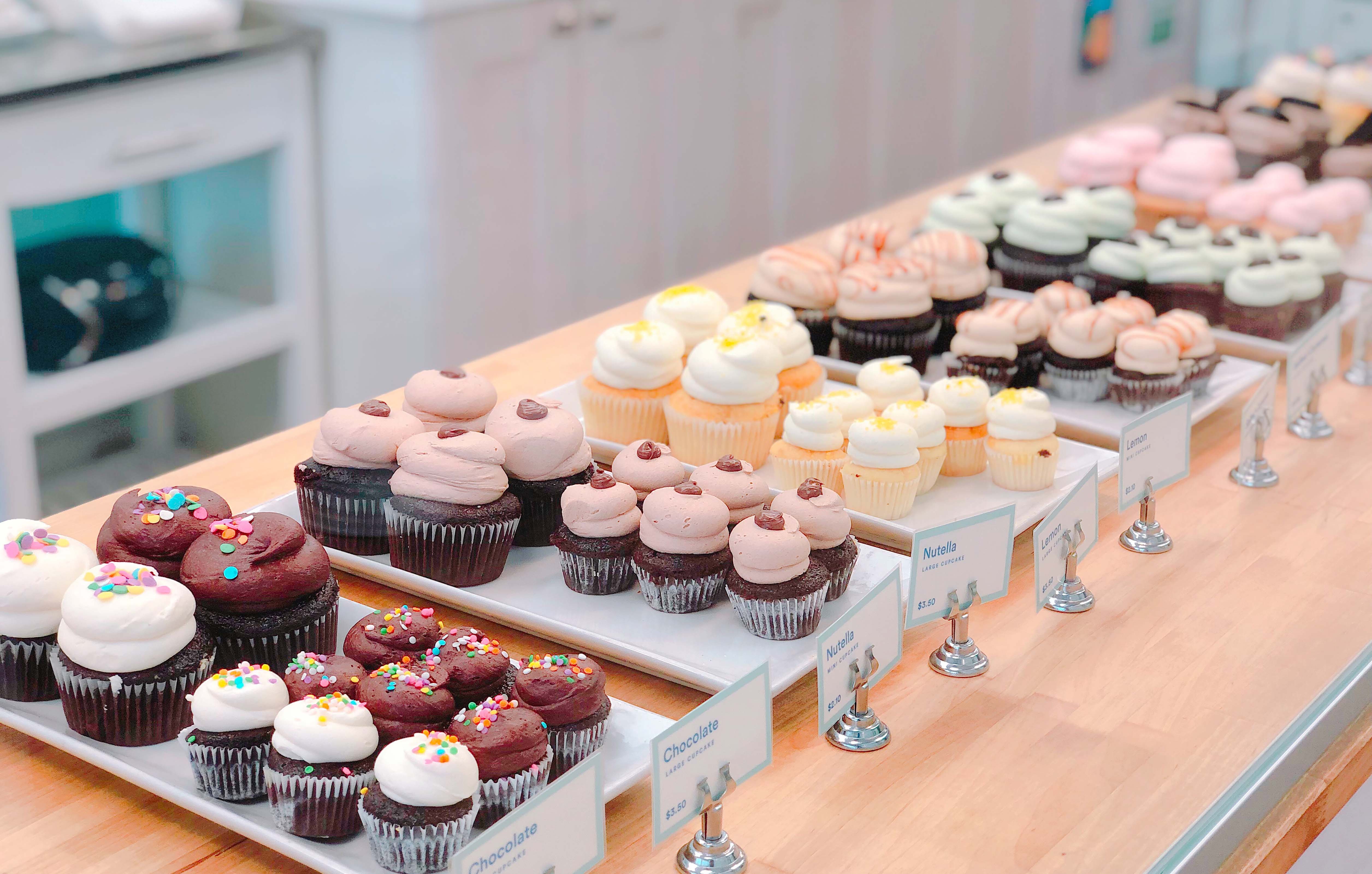 cupcakes | credit: Unsplash